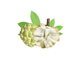 泰国 凤梨释迦（ 香甜多汁）