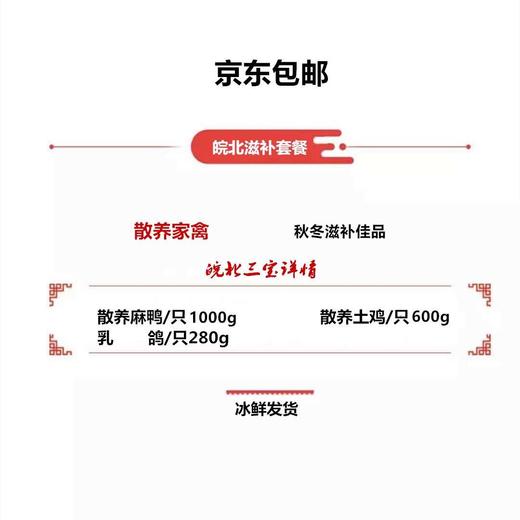 皖北三宝童子鸡1嫩鸭1乳鸽1（共1900g左右） FX 商品图4