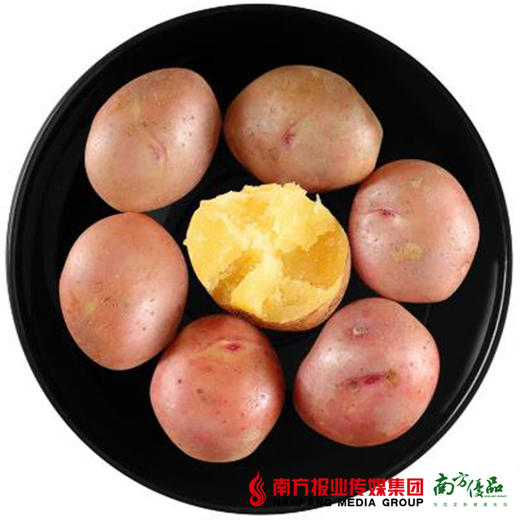 【全国包邮】红皮土豆 净重4.8-5斤/箱（72小时内发货） 商品图2