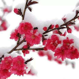  刘力红｜冬三月怎么养藏 