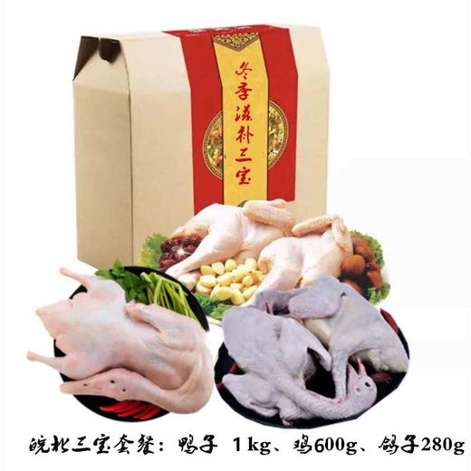 皖北三宝童子鸡1嫩鸭1乳鸽1（共1900g左右） FX 商品图0