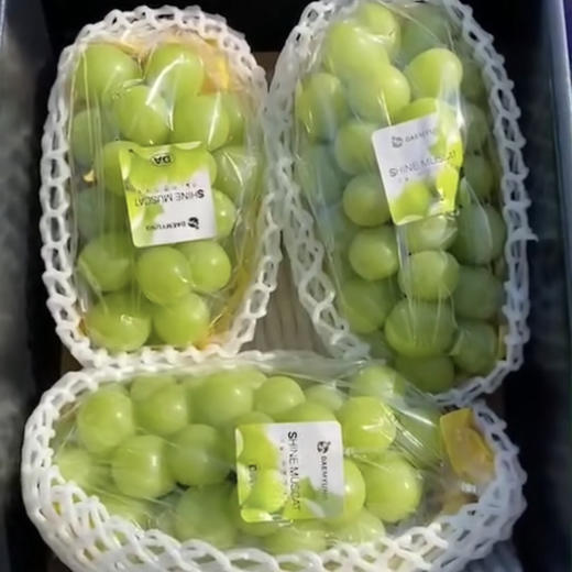 韩国🇰🇷晴王葡萄，超大颗粒甜度非常高的轻奢水果，自然成熟，果肉脆甜多汁，口感饱满独特 商品图9