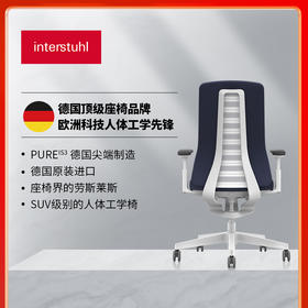 INTERSTUHL人体工学座椅智能弹簧技术立体运动坐姿极简直观操作