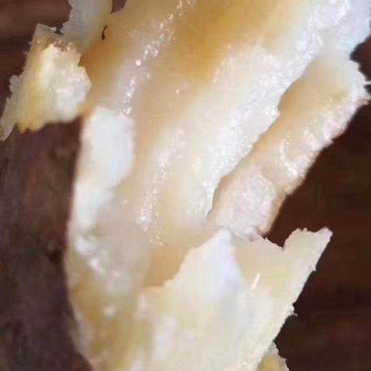 【牛奶冰糖心地瓜】 约5斤/箱，日本品种，肉细无丝 商品图3