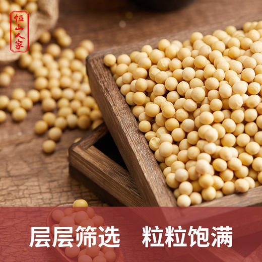 山西恒山高寒产区特产黄豆950g 甄选五谷豆浆 商品图1
