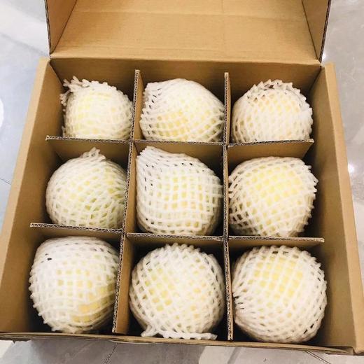 山东蜜桃蜜甜可口非常好吃甜度高这个季节很好吃的桃子一箱9颗67斤