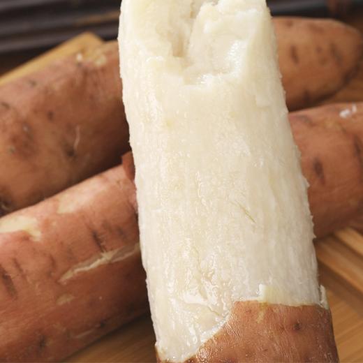 【牛奶冰糖心地瓜】 约5斤/箱，日本品种，肉细无丝 商品图1