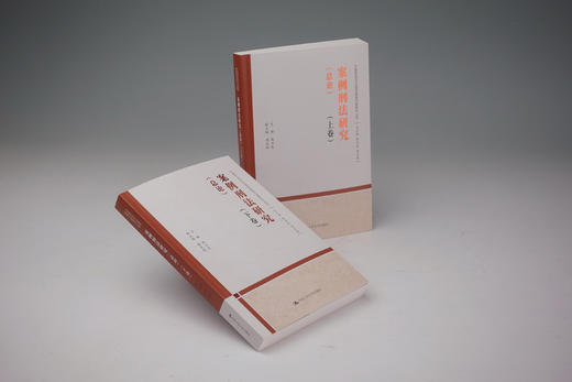 案例刑法研究（总论）（上下卷）（中国刑法司法适用重大疑难问题研究丛书） 商品图2