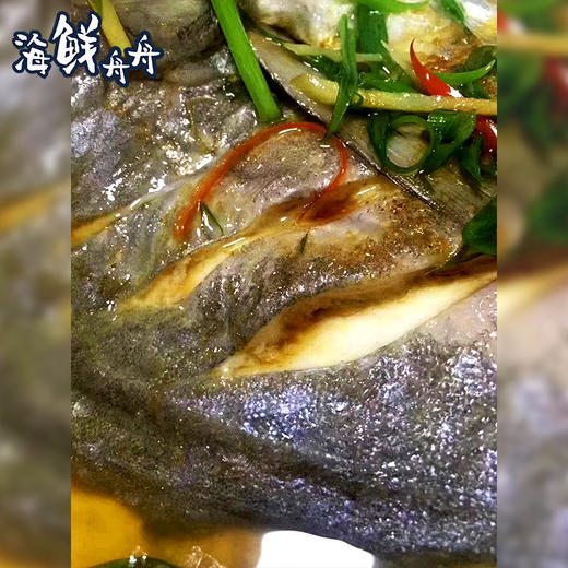 【野生】超低温 大斗鲳 商品图3
