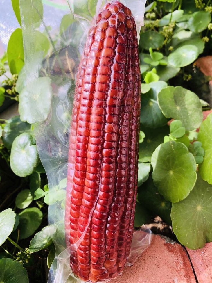 红宝石玉米丨可生吃的水果玉米,真空包装!清甜多汁,富含花青素!