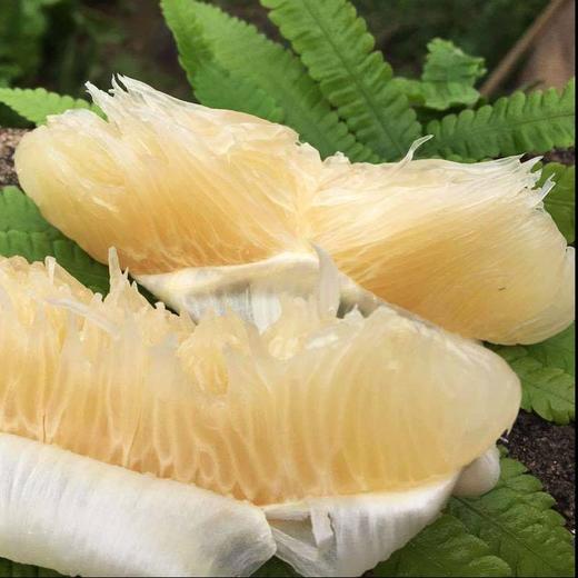 沙田柚 商品图2