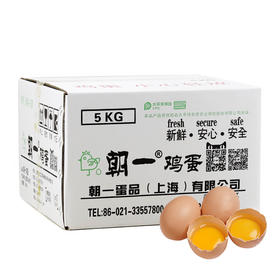 无菌鸡蛋朝一鸡蛋 5kg 装可生食生吃新鲜无抗生素放心蛋5箱以上价格更优惠