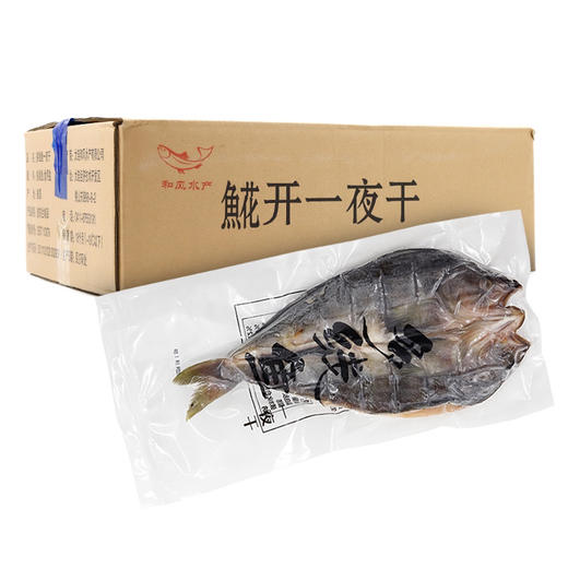 日式料理烧烤海鲜鱼干开片鱼流线鱼干M号 商品图2