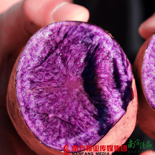 【全国包邮】云南高原紫土豆 5斤±3两/箱（72小时内发货） 商品图0