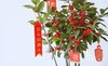 喜庆吊卡（6张/包） 商品缩略图11