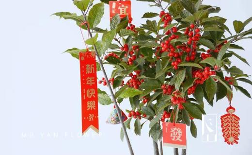 喜庆吊卡（6张/包） 商品图11