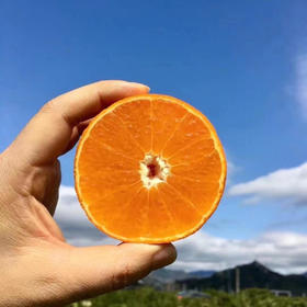 浙江临海涌泉老树蜜橘4A级无核蜜橘 4.5斤彩箱装