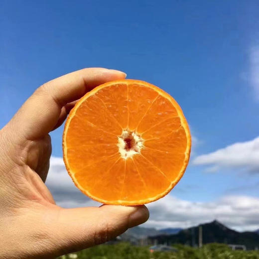 浙江临海涌泉老树蜜橘4A级无核蜜橘 4.5斤彩箱装 商品图0