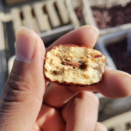 新疆原生态未清洗若羌灰枣 4斤 商品图9