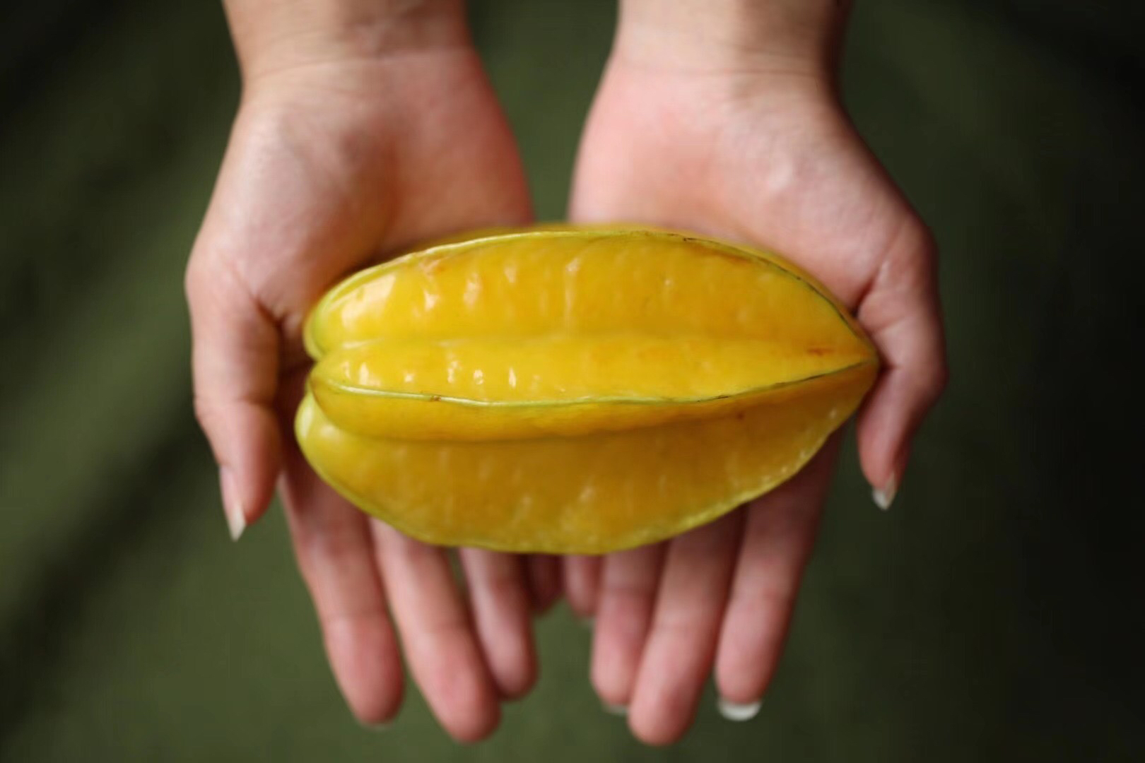 漳州树熟杨桃(赠酸梅粉)，酸甜多汁，净重约4.5-5斤9-12个，发顺丰陆运