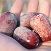 塔河原土灰枣】新疆挂干甜小灰枣 小香栆【基地直邮】 商品缩略图1