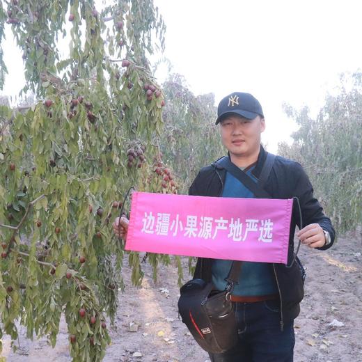 新疆原生态未清洗若羌灰枣 4斤 商品图1