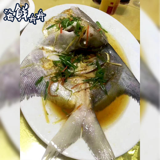 【野生】超低温 大斗鲳 商品图2