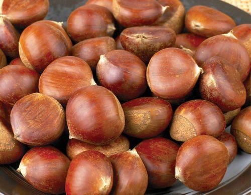【12元3斤】生栗子（1500143） 商品图0