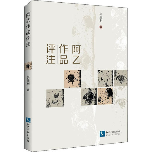 阿乙作品评注 商品图0