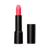 艾丝珀 espoir LIPSTICK NO WEAR POWER MATTE 口红 NO28 SOHOJPY带授权招加盟代理 商品缩略图0