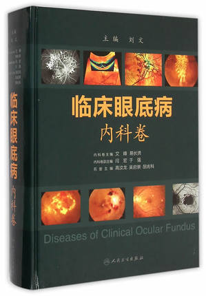 临床眼底病.内科卷 商品图0
