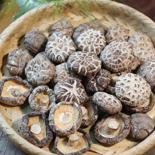 广西特产精品花菇250g