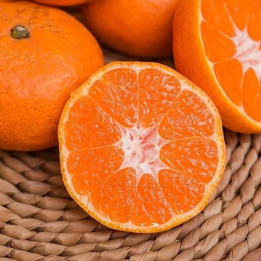 浙江临海涌泉老树蜜橘4A级无核蜜橘 4.5斤彩箱装 商品图4