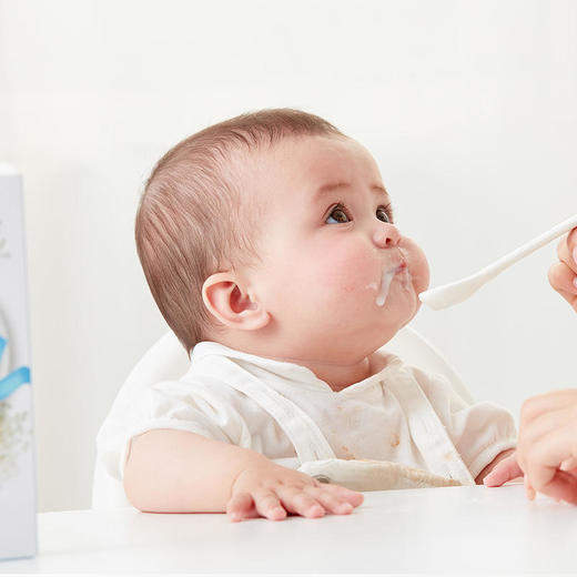 英国小皮LittleFreddie米粉谷物粉160g 商品图7