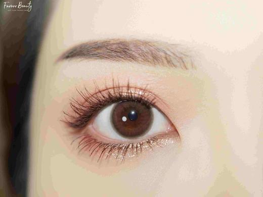 favorr beauty日抛 旺仔粉棕 14.2mm 日抛无售后！！ 有同款年抛 商品图1