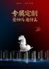 最佳神马奖 创意搞笑奖杯公司高端定制 私人定制 创意 摆件 商品缩略图4
