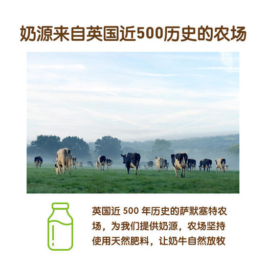 小皮发酵乳 多口味 100g 商品图2