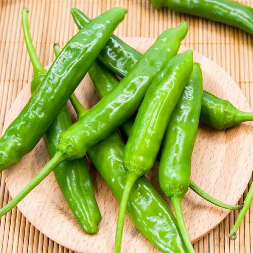 爱奥家青阳辣椒1包올가푸드청양고추 商品图2