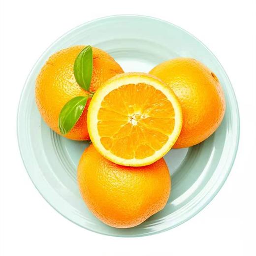 进口脐橙一份约500g 商品图0