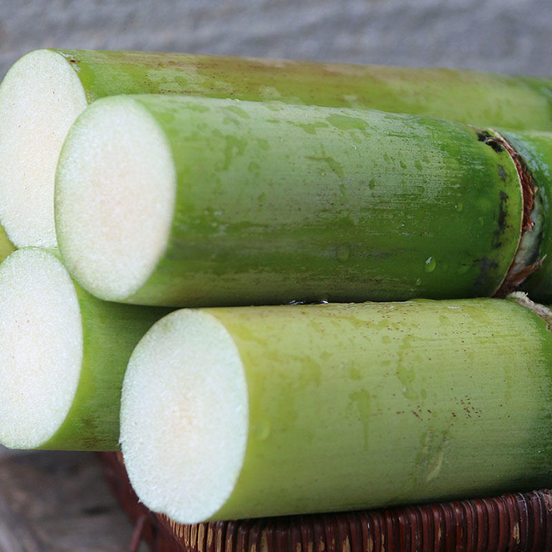 甘某某陶山脆皮果蔗 甘蔗 方便可口水果