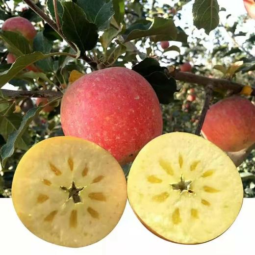 阿克苏冰糖心 商品图2