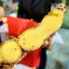 【云南高原小黄姜（ 半老姜）】高原露天种植 不过水 不熏硫 够香够辣 味道浓郁 商品缩略图1