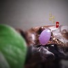 18k紫罗兰色翡翠戒指 商品缩略图5