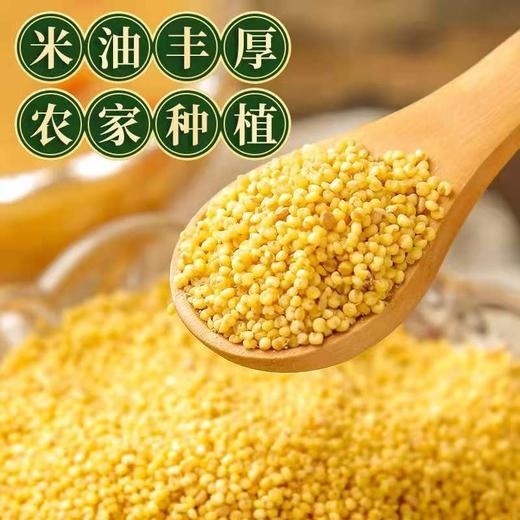 【7.8元2斤】赤峰黄金苗小米（新上市小米）（0101208） 商品图0