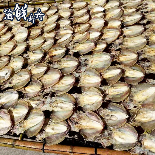【干货】古法淡晒 野生墨鱼干 250g/5-6只 商品图4