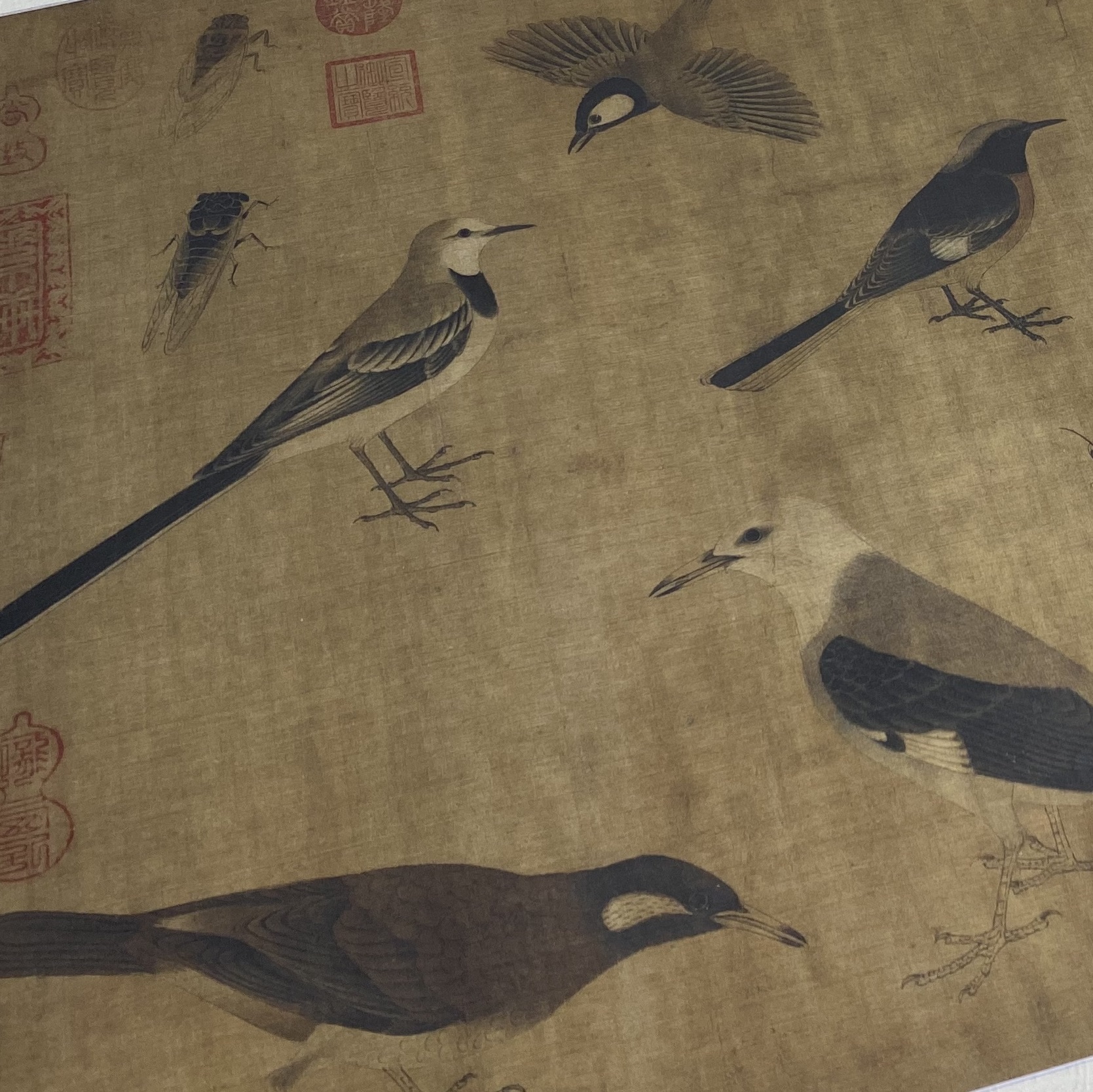 【定制书画】（五代）黄筌《写生珍禽图》绢本 镜片 馆藏书画高仿复制艺术品（付款后28天内发货）