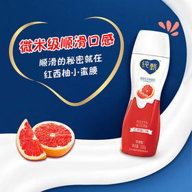 新鲜正品！蒙牛 纯甄 小蛮腰 红西柚口味 高端轻酪乳酸牛奶PET瓶230g*10瓶 礼盒装/2022年11月生产