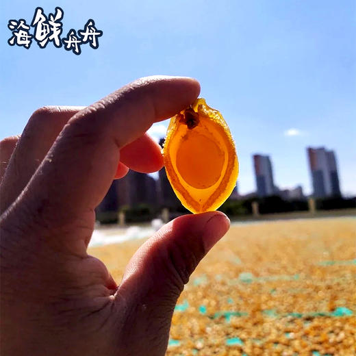 【干货】古法淡晒 鲍鱼干50头 10只袋装 商品图4