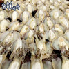 【干货】古法淡晒 野生墨鱼干 250g/5-6只 商品缩略图1