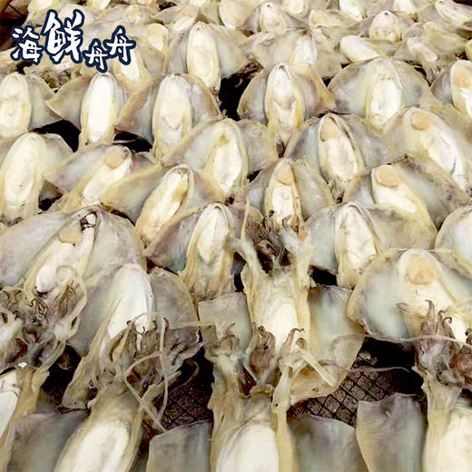 【干货】古法淡晒 野生墨鱼干 250g/5-6只 商品图1